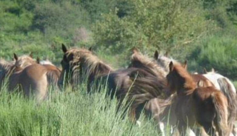 la libertà è uno stato d’animo e si costruisce giorno per giorno