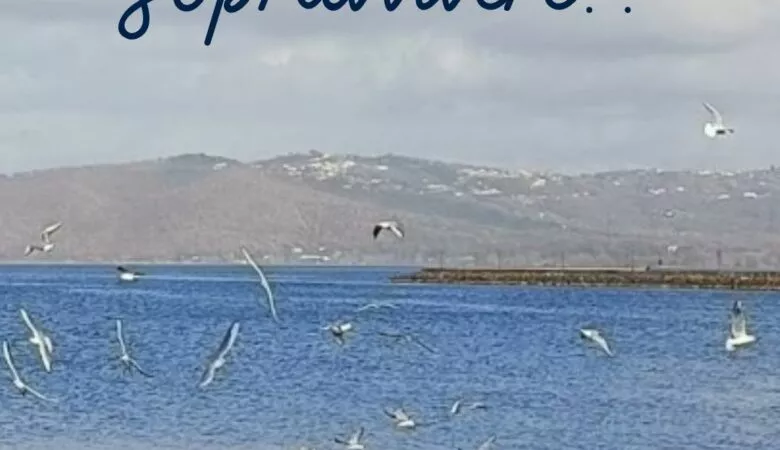 spesso si confonde il vivere con il sopravvivere