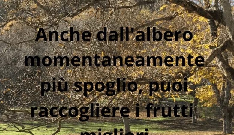 anche se sei in difficoltà puoi fare grandi progetti